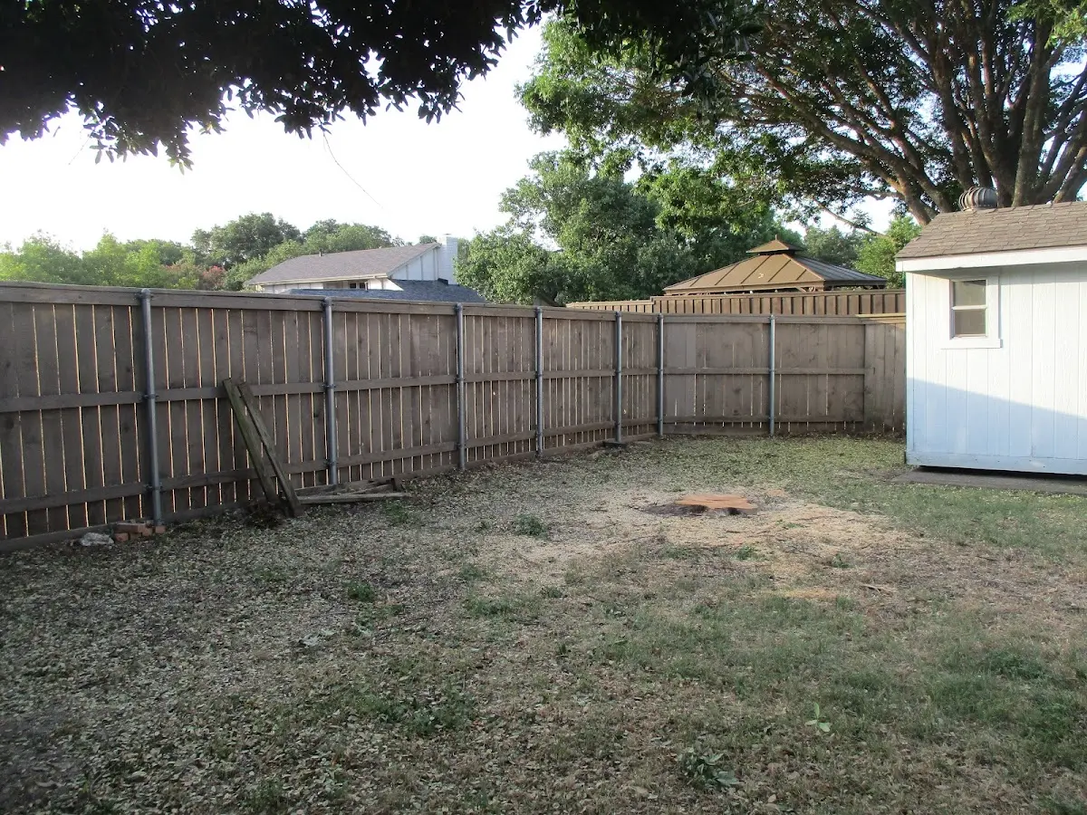 Cleared yard after professional tree removal in New Brunswick